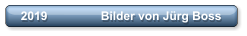 2019                Bilder von Jrg Boss